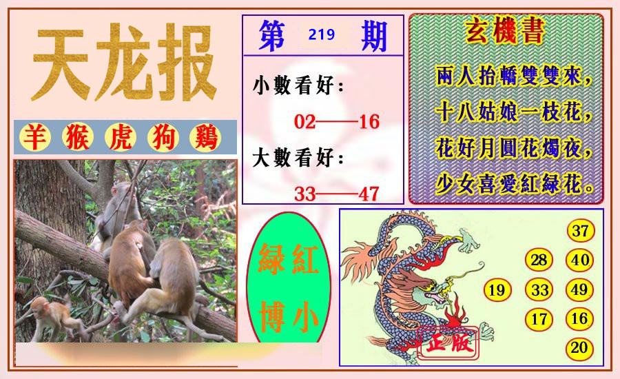 天龙报